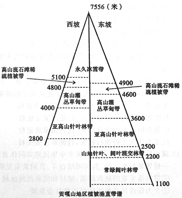 读图简谱_儿歌简谱(3)