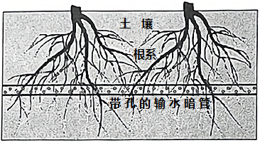 据此完成下面小题.